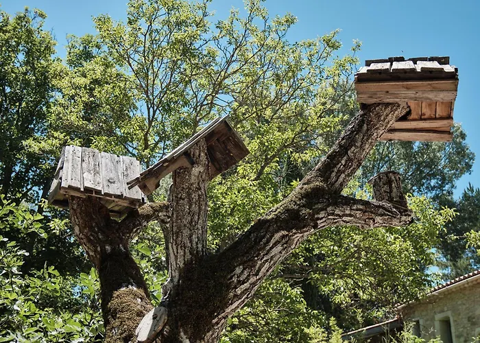 Les Maisons De Chante Oiseau