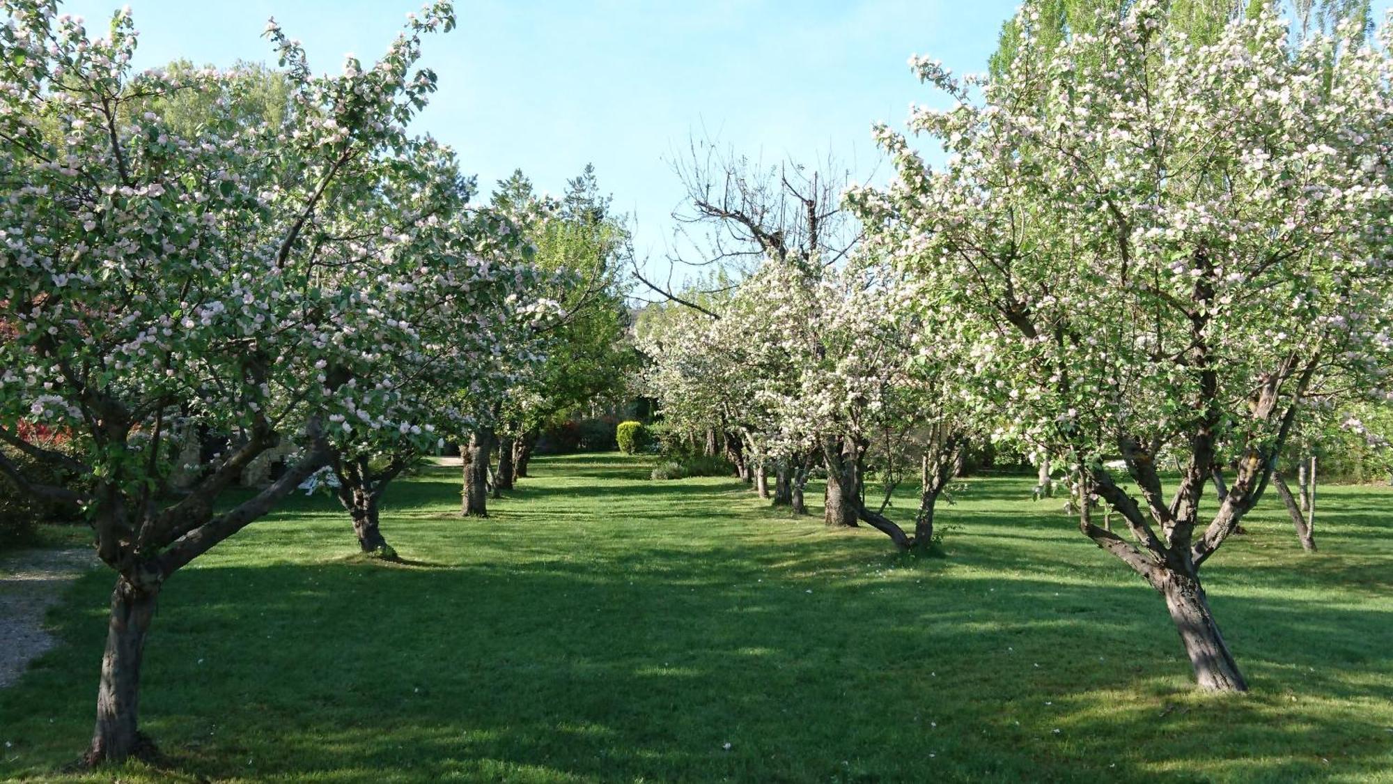 Les Maisons De Chante Oiseau Casa de hóspedes Sigonce
